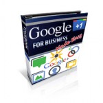 Google+ ffor Business Made Easy