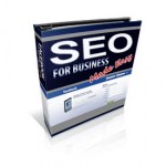 SEO for Business Made Easy