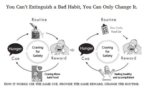 The-4-Hour-Body-Habit-Loop-Slow-Carb-Diet