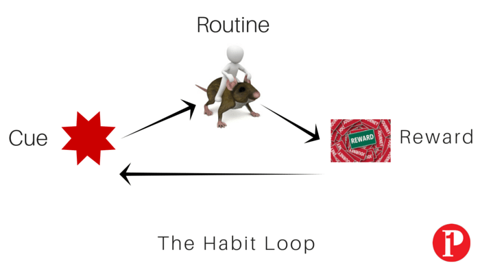 The Habit Loop_Prepare1 Image