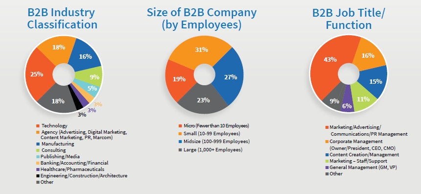 B2B Content Methodology & Demographics